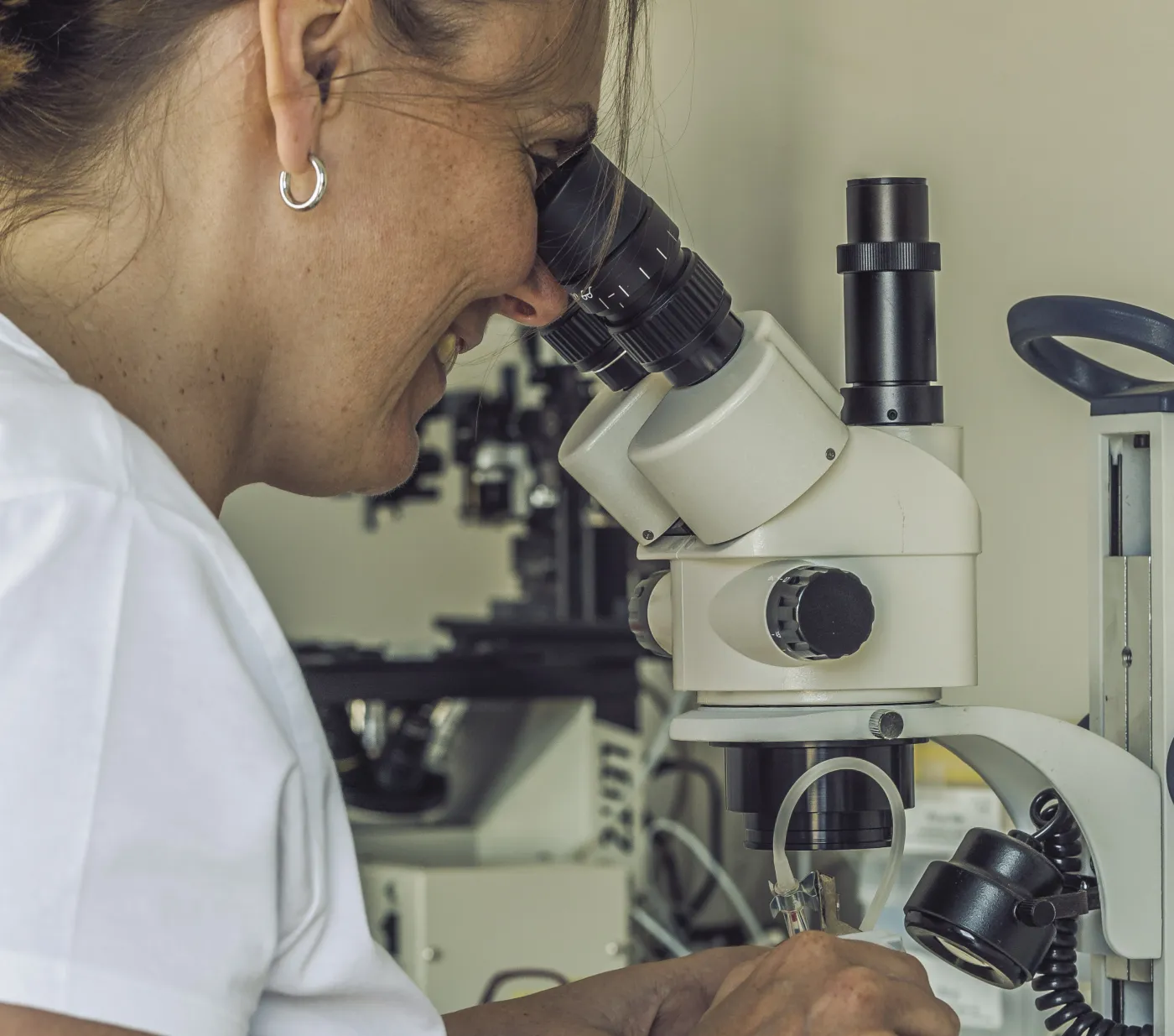 Embryo's worden in het laboratorium beoordeeld onder een stereomicroscoop